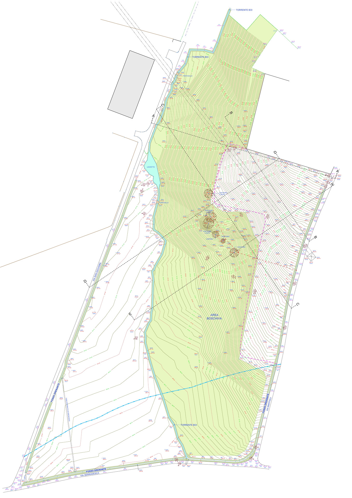 Geometra Quadrini Davide - Piano quotato con curve di livello di un terreno coltivato a vigneto